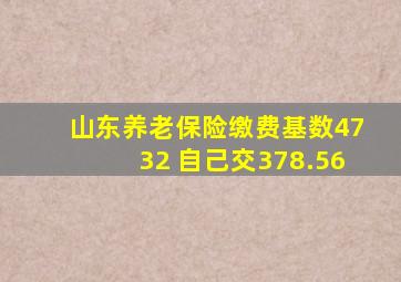 山东养老保险缴费基数4732 自己交378.56